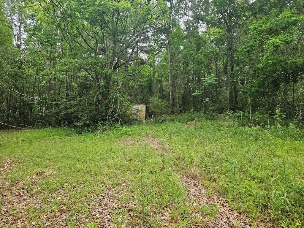0.52 acres in Texas County - photo 8
