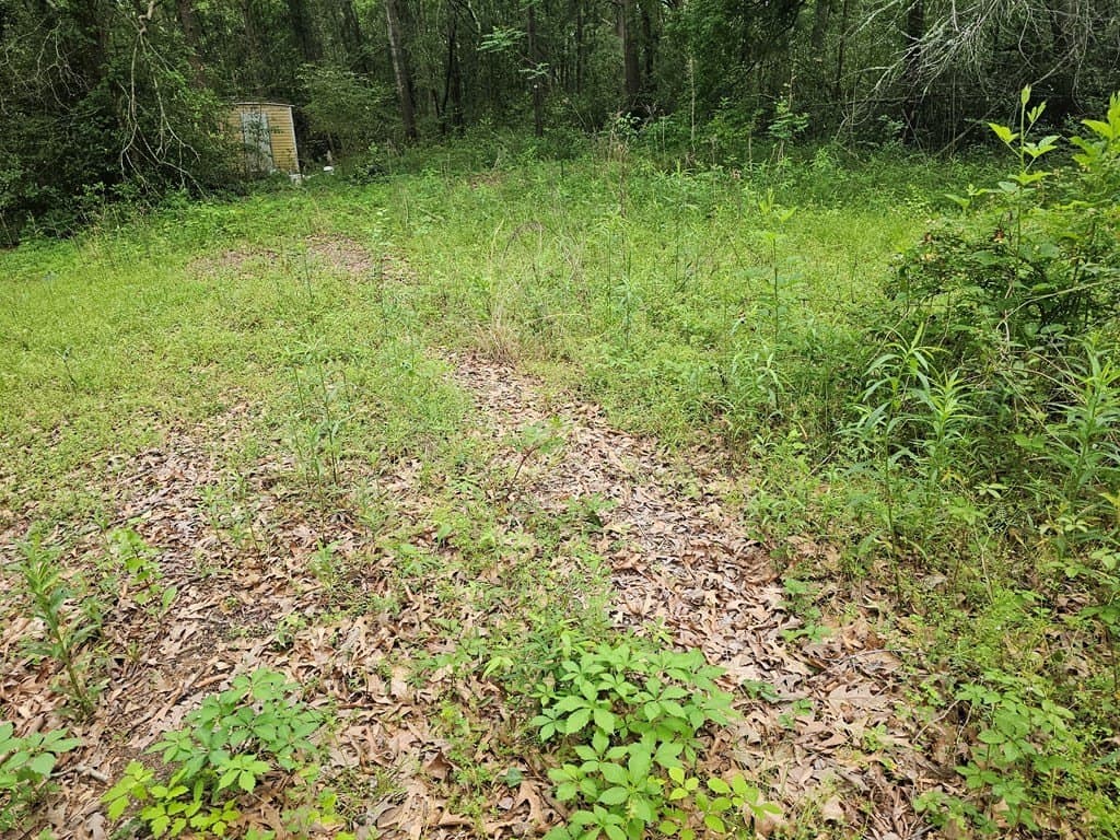 0.52 acres in Texas County - photo 15