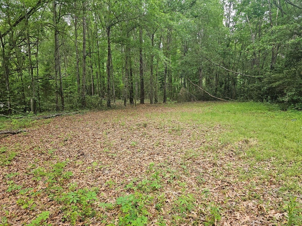 0.52 acres in Texas County - photo 14
