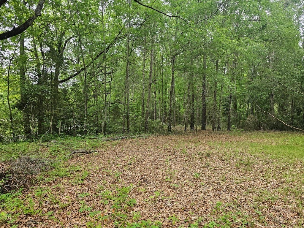 0.52 acres in Texas County - photo 6