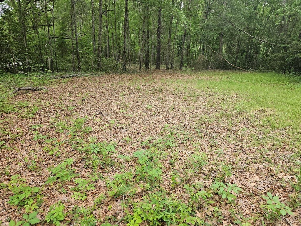 0.52 acres in Texas County - photo 16
