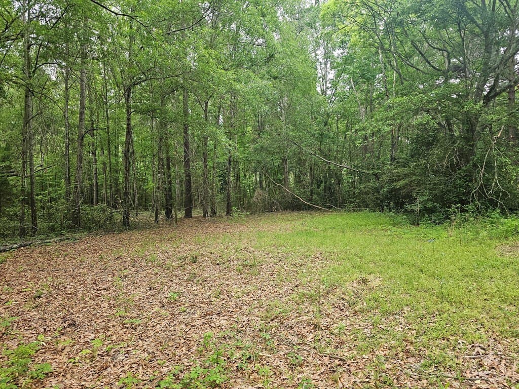 0.52 acres in Texas County - photo 7