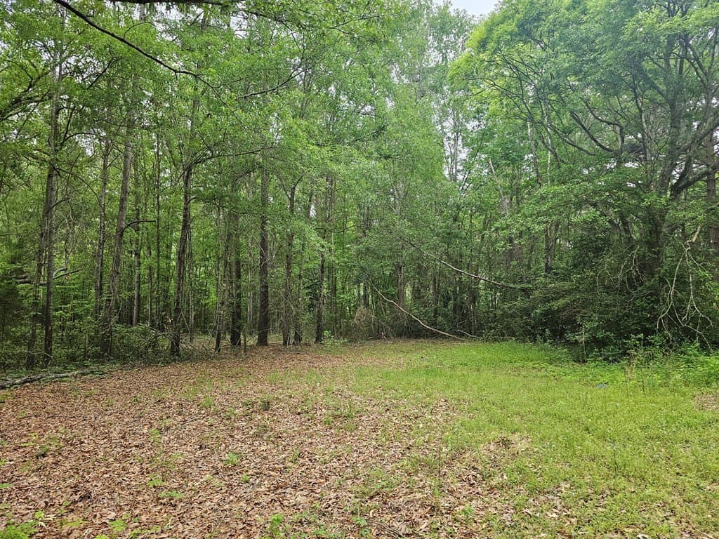 0.52 acres in Texas County - photo 12