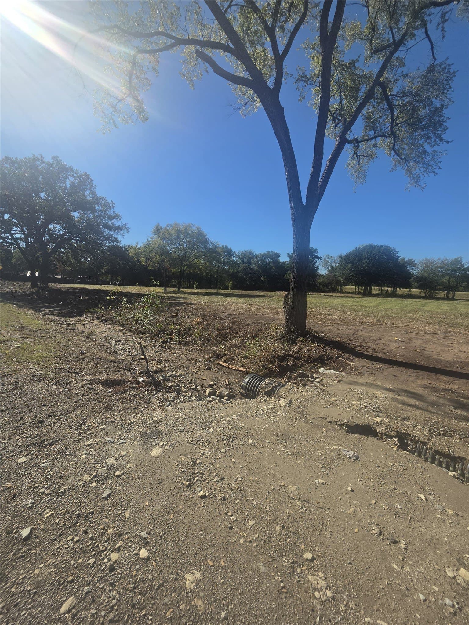 2.36 acres in Dallas County - photo 6