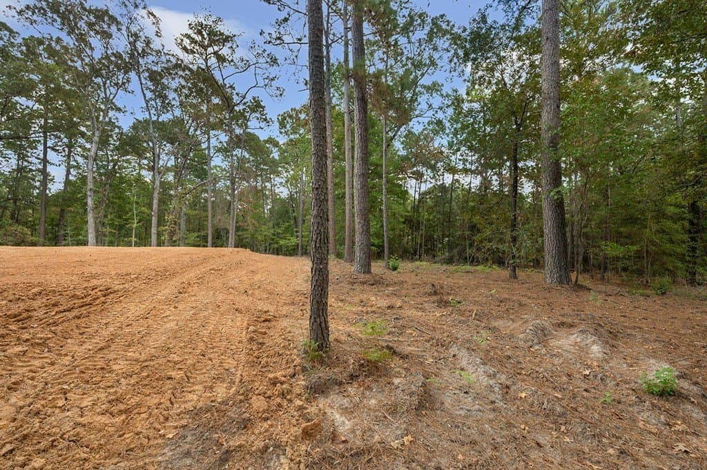 0.6 acres in Texas County featured view