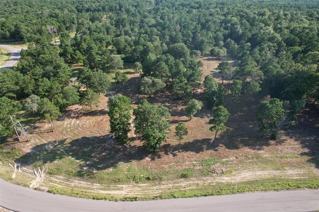 3.04 acres in Henderson County gallery image 3