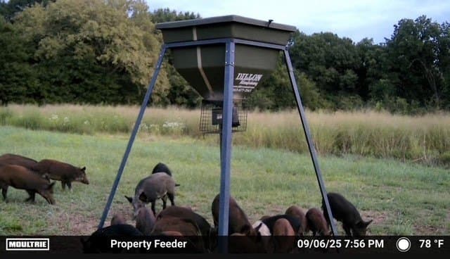 25.46 acres in Grayson County - photo 11
