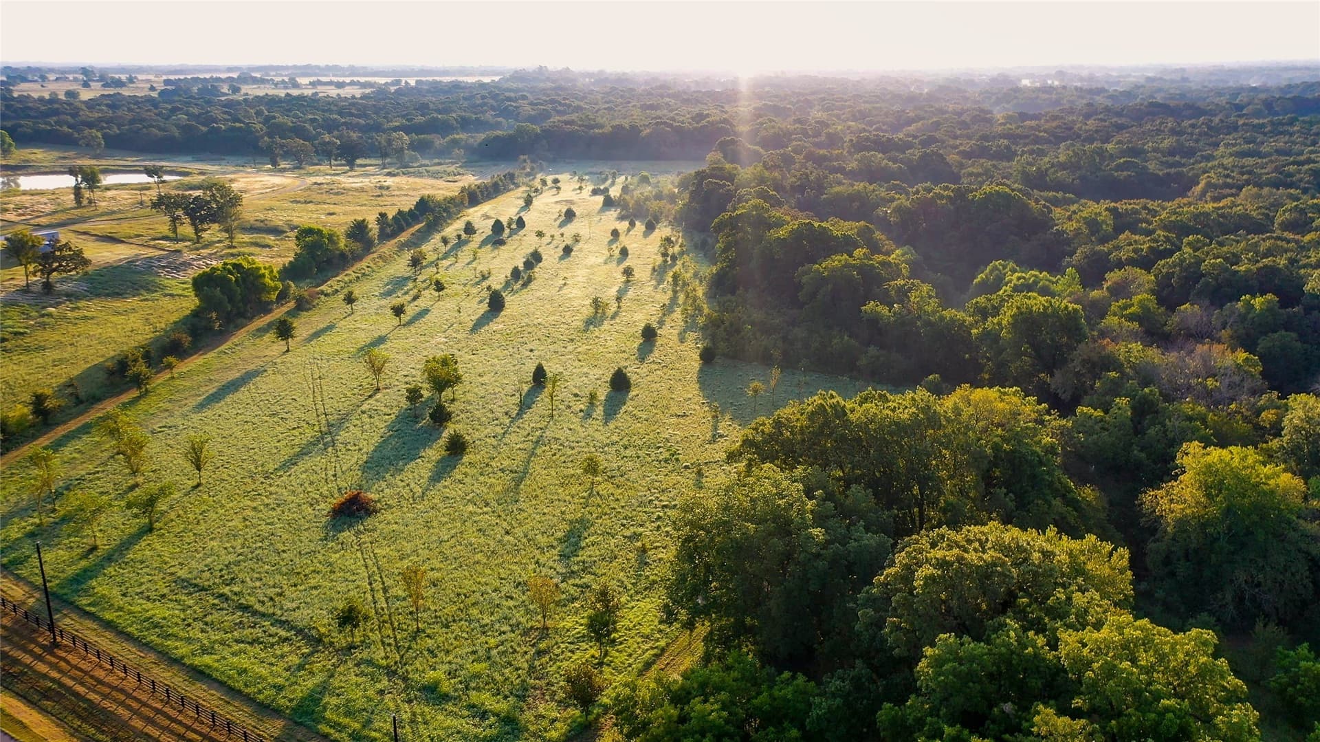 25.46 acres in Grayson County - photo 4