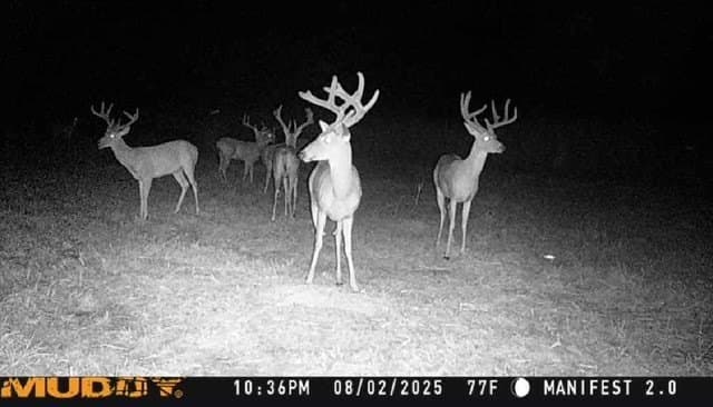25.46 acres in Grayson County - photo 8