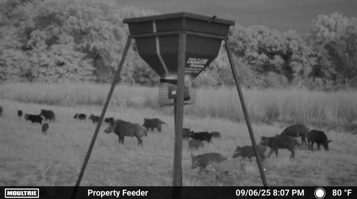 25.46 acres in Grayson County - photo 10