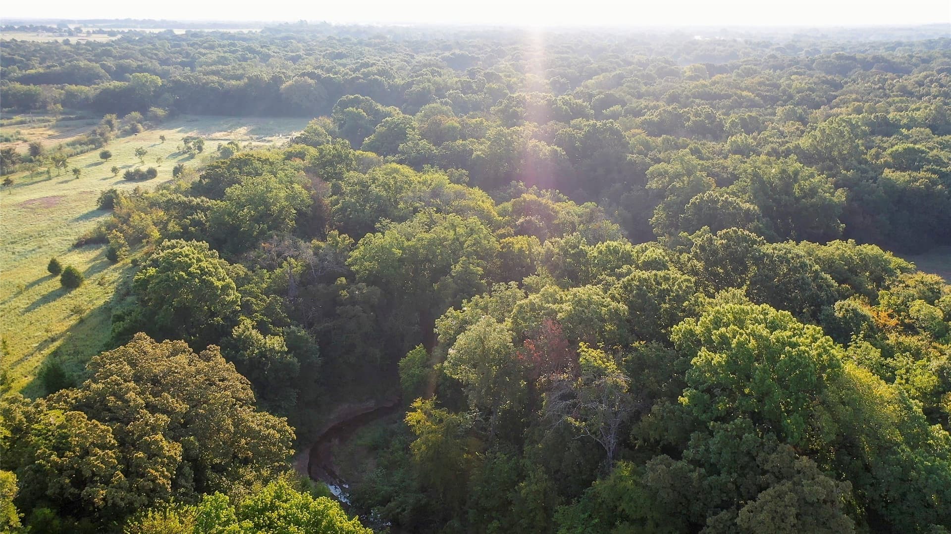 25.46 acres in Grayson County - photo 6