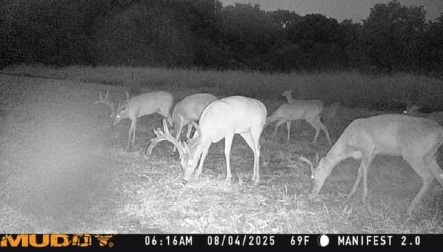 25.46 acres in Grayson County - photo 9