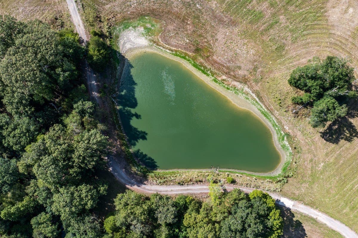 27 acres in Henderson County - photo 11