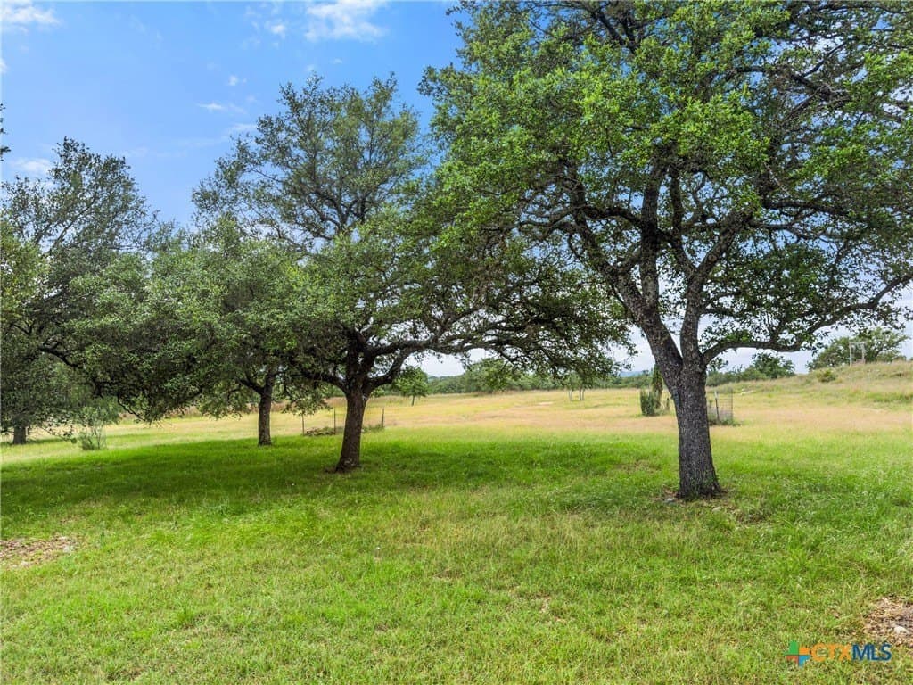 6.95 acres in Blanco County gallery image 4