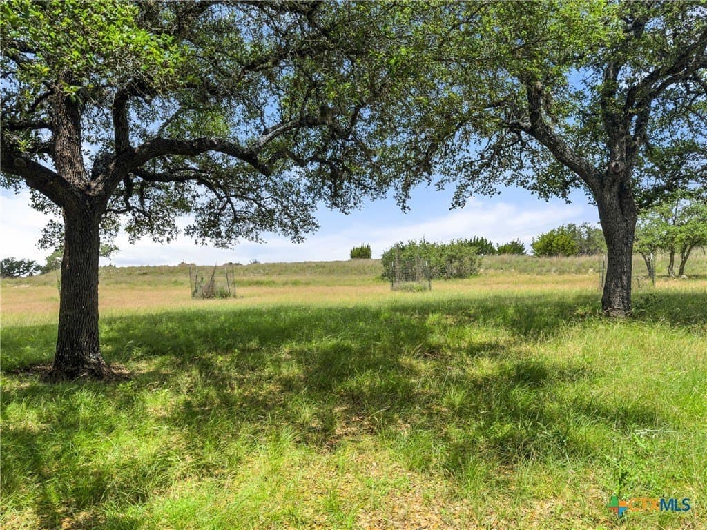 6.95 acres in Blanco County gallery image 3