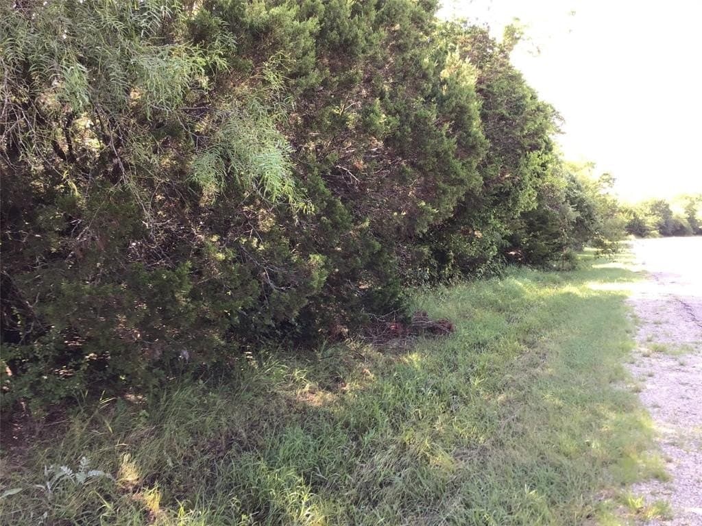 0.35 acres in Hill County gallery image 3