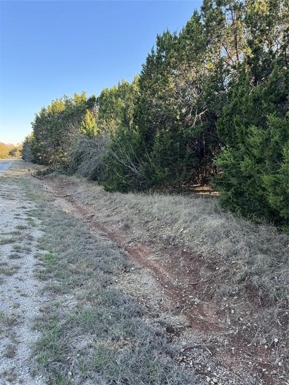 0.35 acres in Hill County gallery image 4