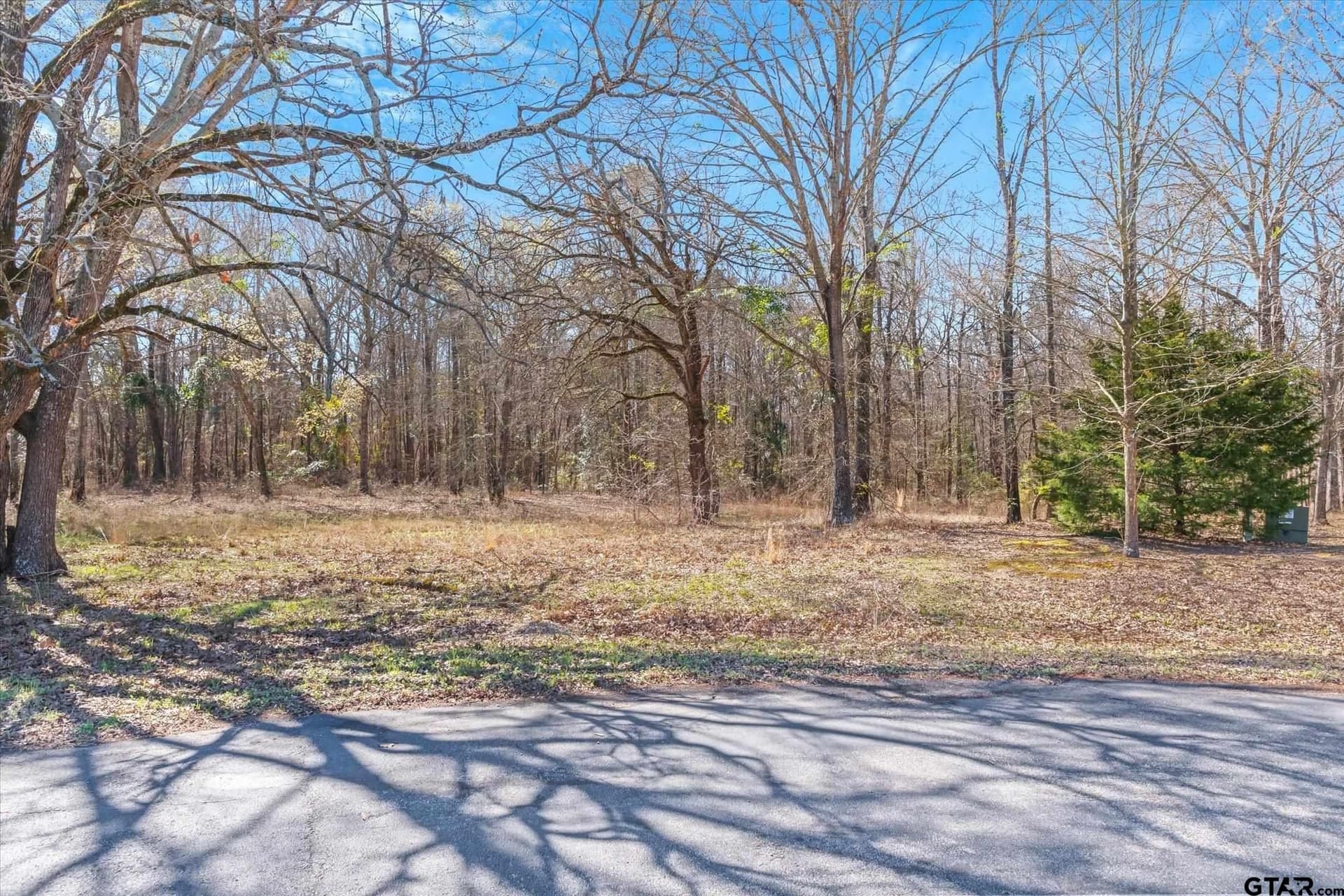 5.01 acres in Smith County gallery image 4