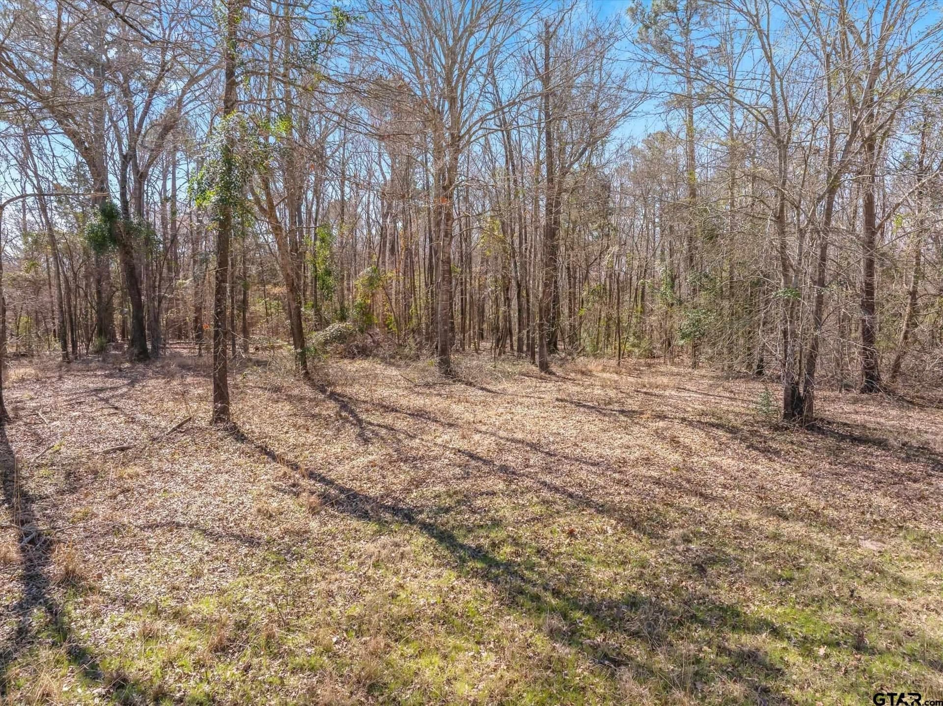5.01 acres in Smith County featured view
