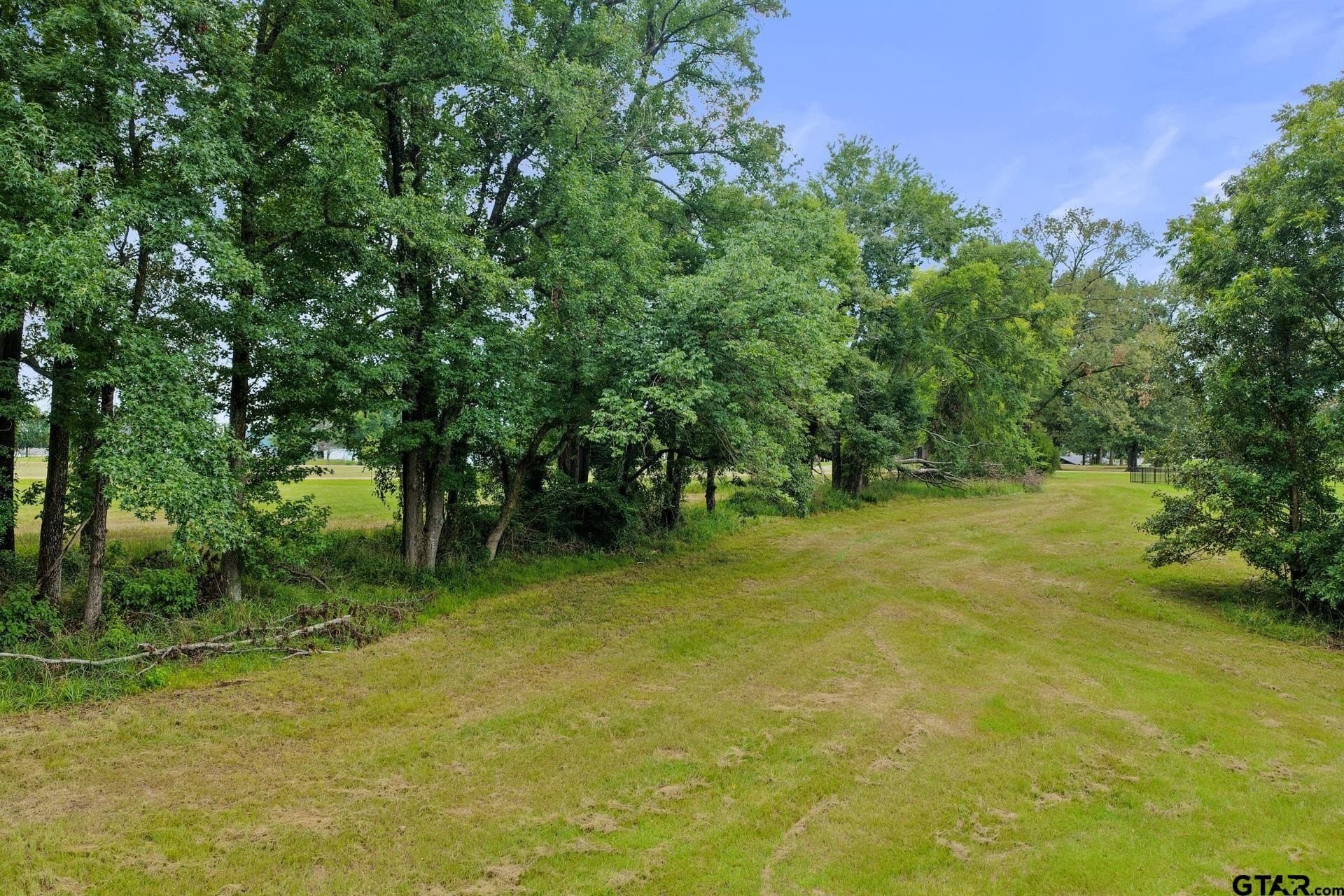 0.85 acres in Titus County - photo 6
