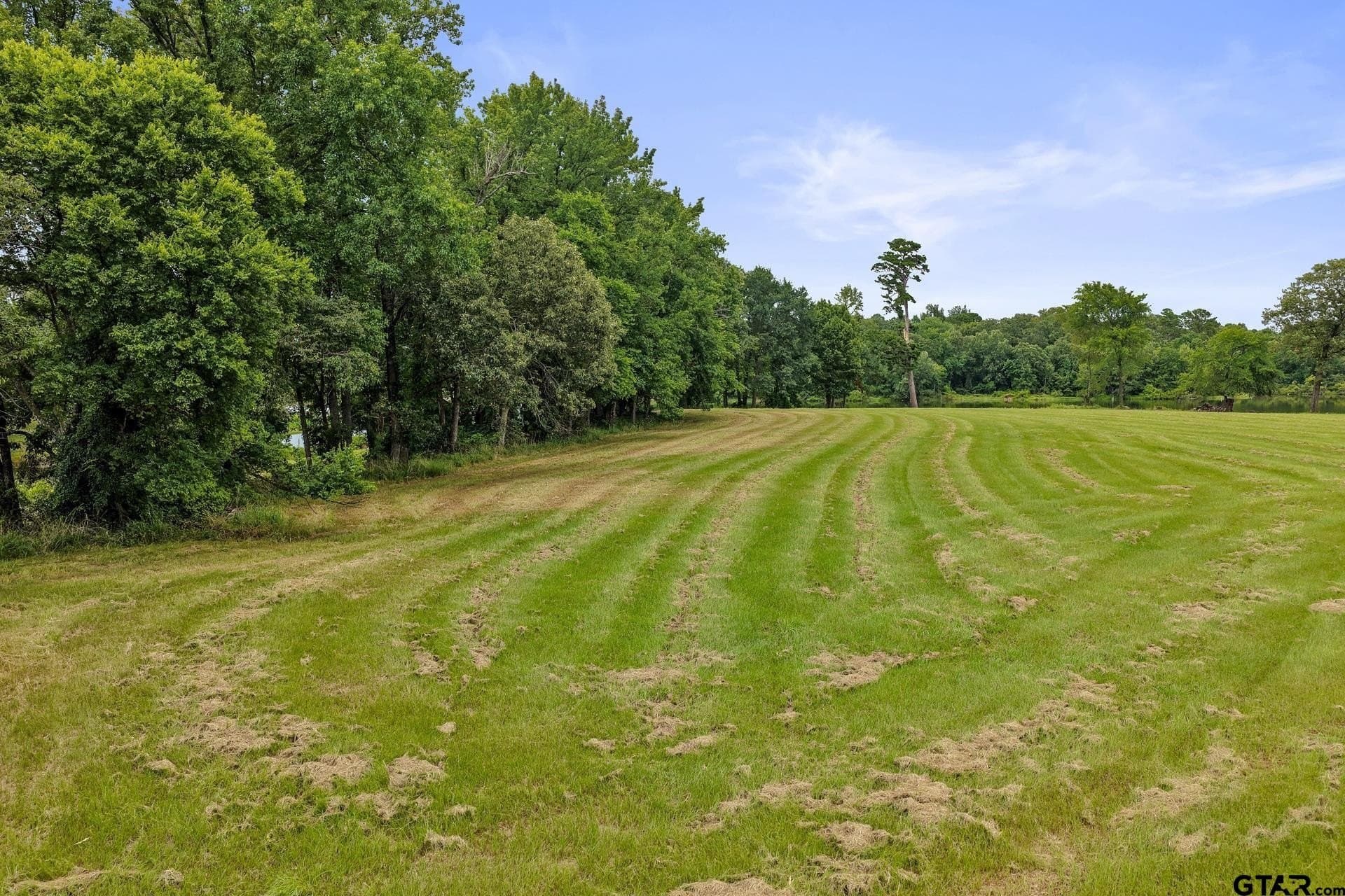 0.85 acres in Titus County gallery image 4