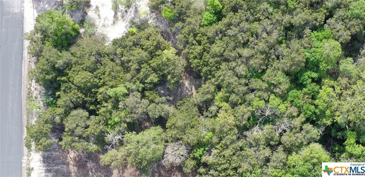 0.15 acres in Bell County gallery image 3