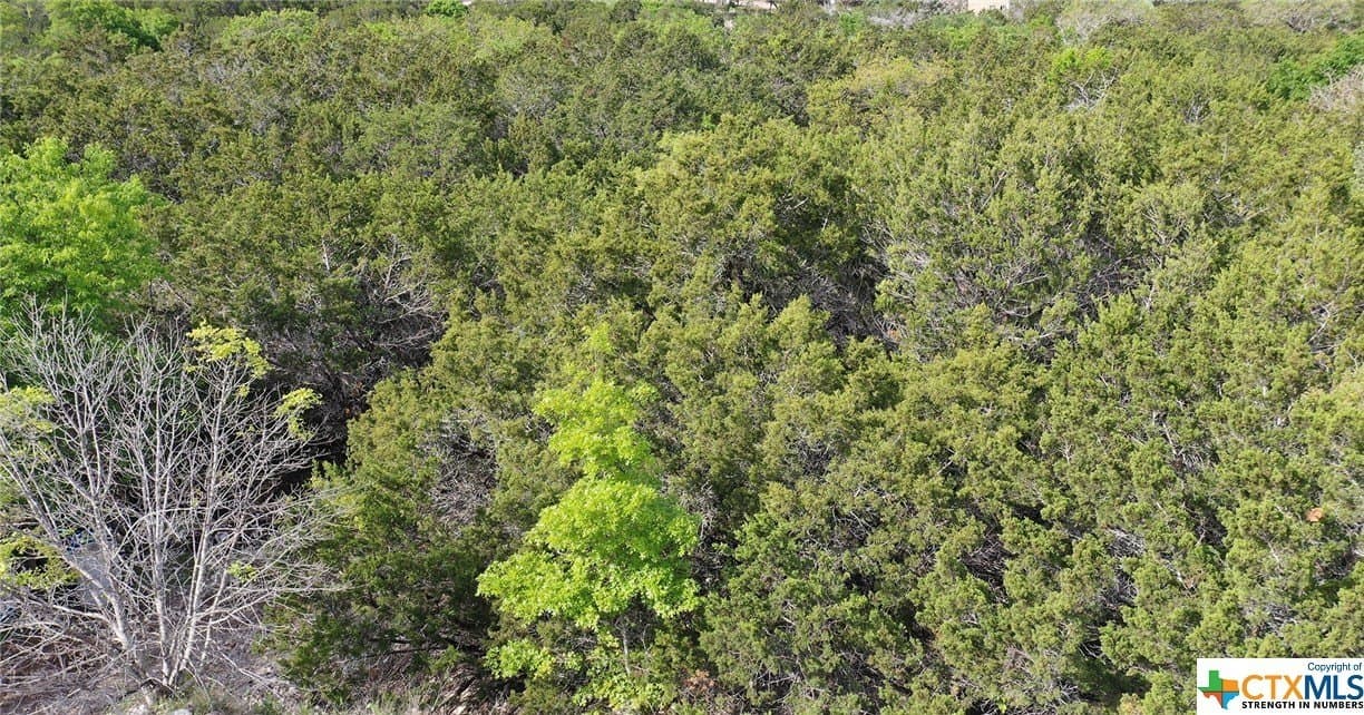 0.15 acres in Bell County gallery image 2