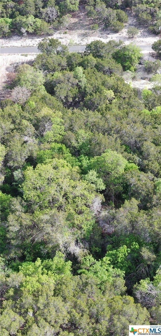 0.15 acres in Bell County gallery image 3