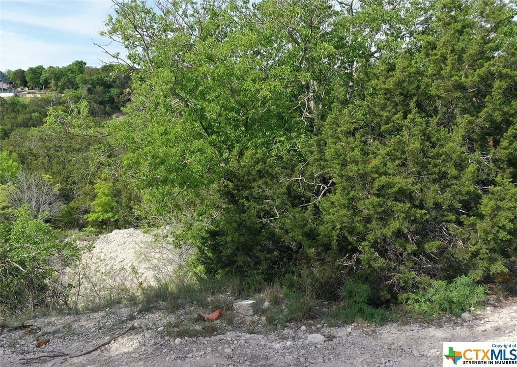 0.15 acres in Bell County - photo 7