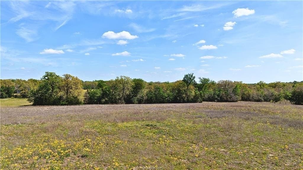 5 acres in Burleson County - photo 8
