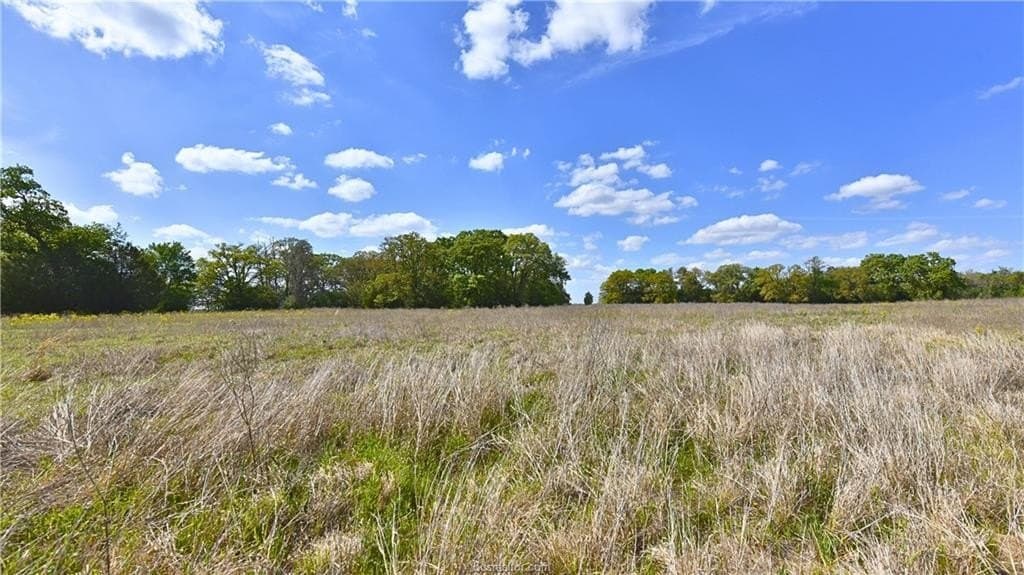 5 acres in Burleson County - photo 6