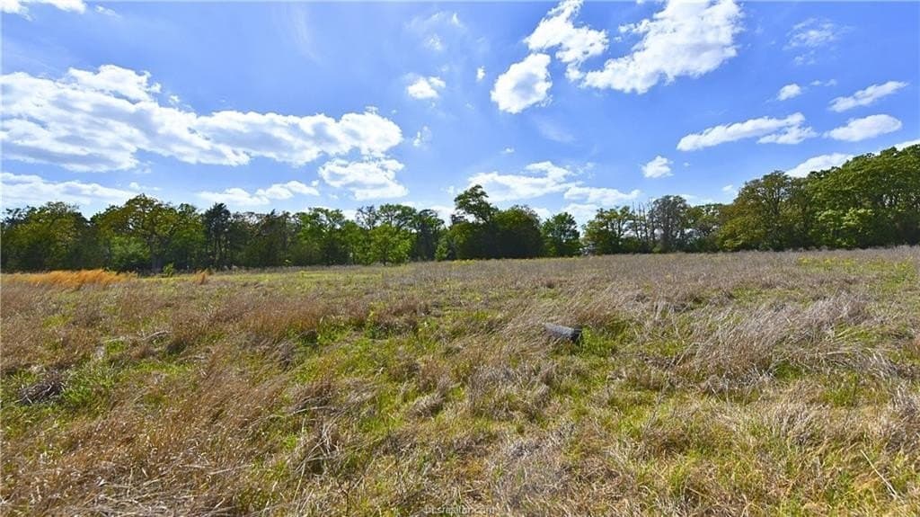 5 acres in Burleson County - photo 9