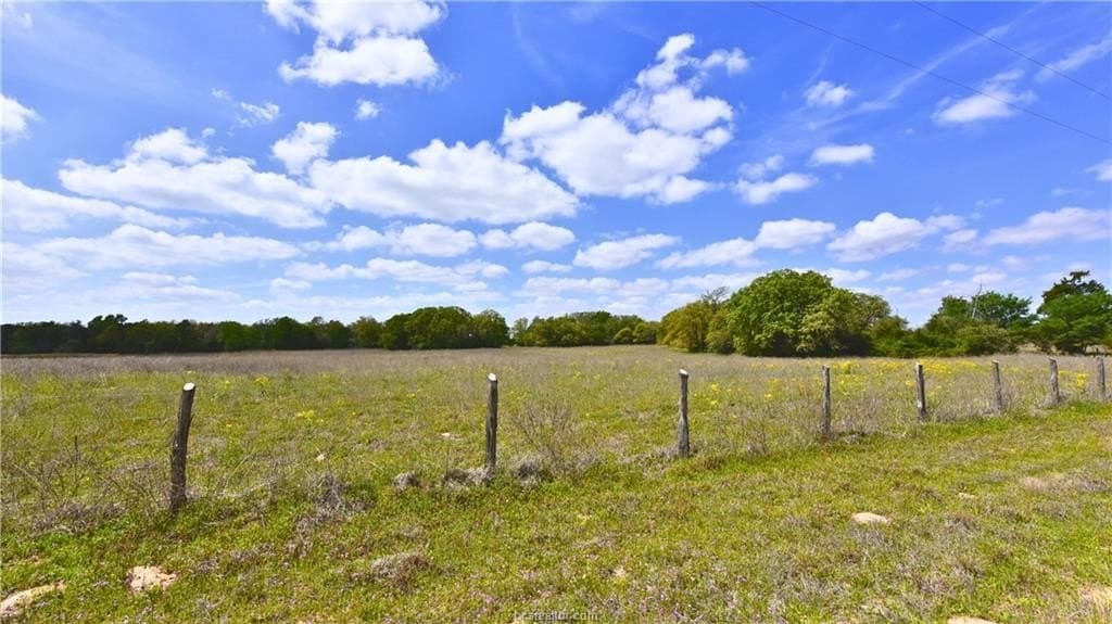 5 acres in Burleson County gallery image 4