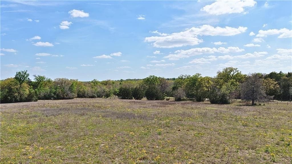 5 acres in Burleson County - photo 7
