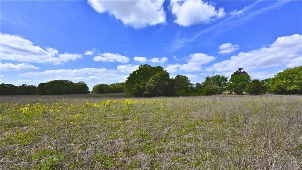 5 acres in Burleson County featured view