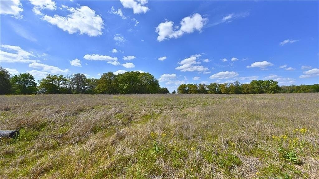5 acres in Burleson County gallery image 3