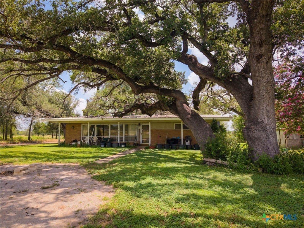 75 acres in Guadalupe County - photo 8