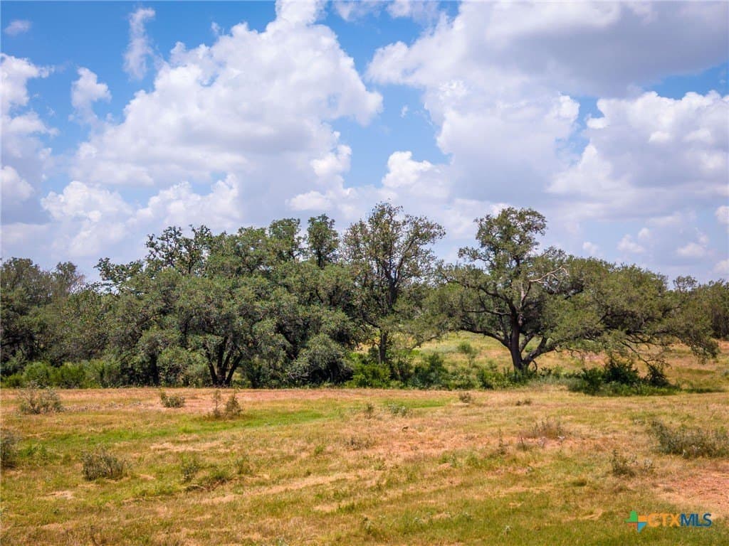 75 acres in Guadalupe County - photo 4