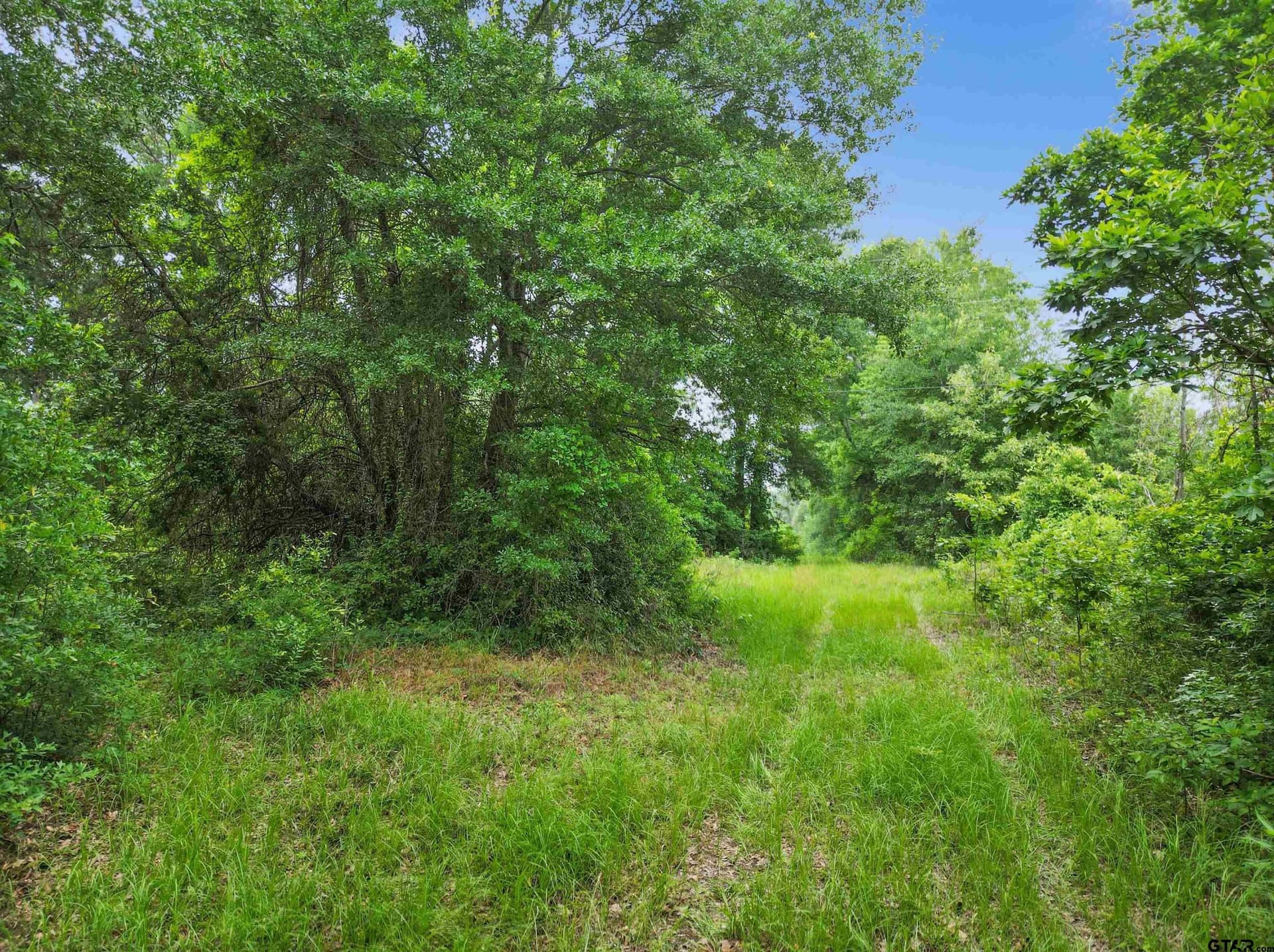157 acres in Smith County - photo 14