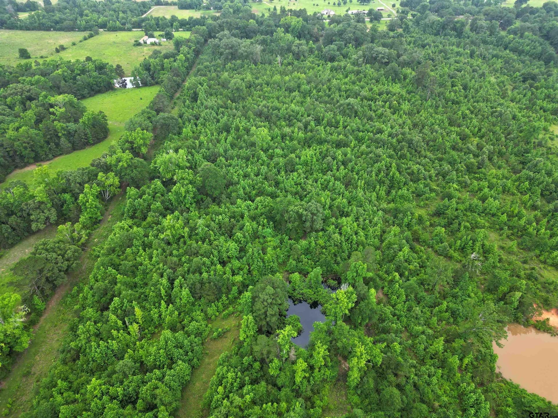 157 acres in Smith County - photo 10