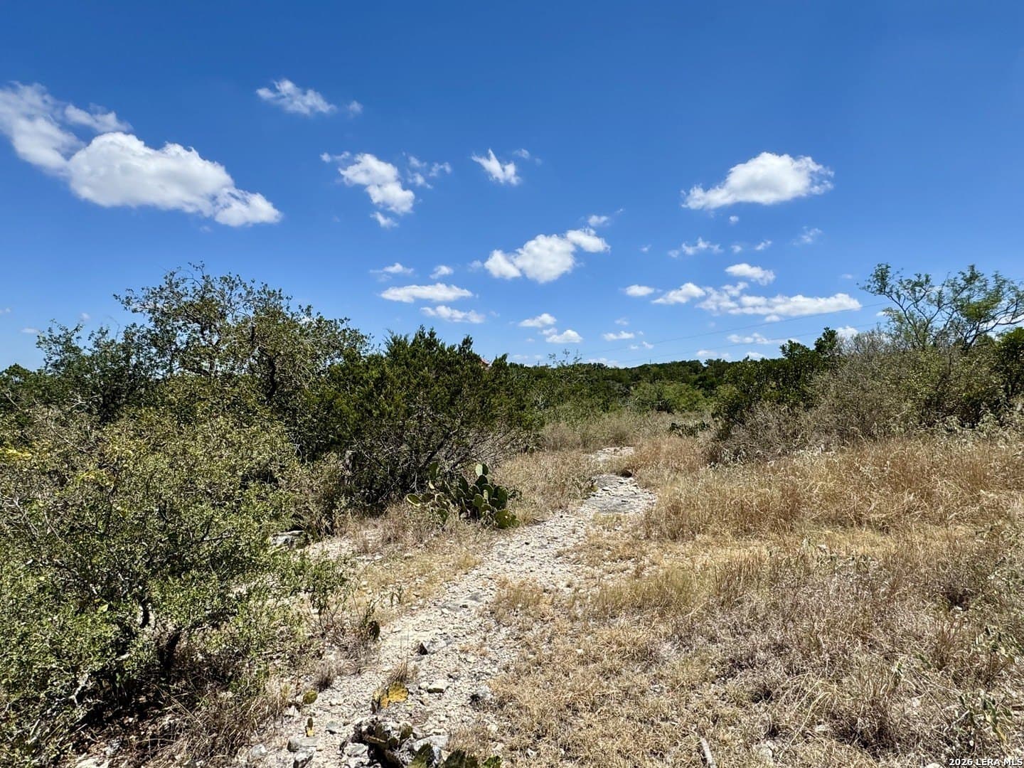 8.14 acres in Medina County - photo 33