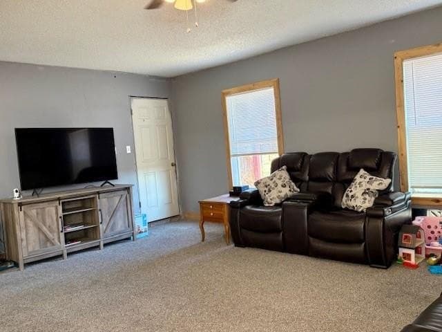 15.5 acres in Hill County gallery image 4