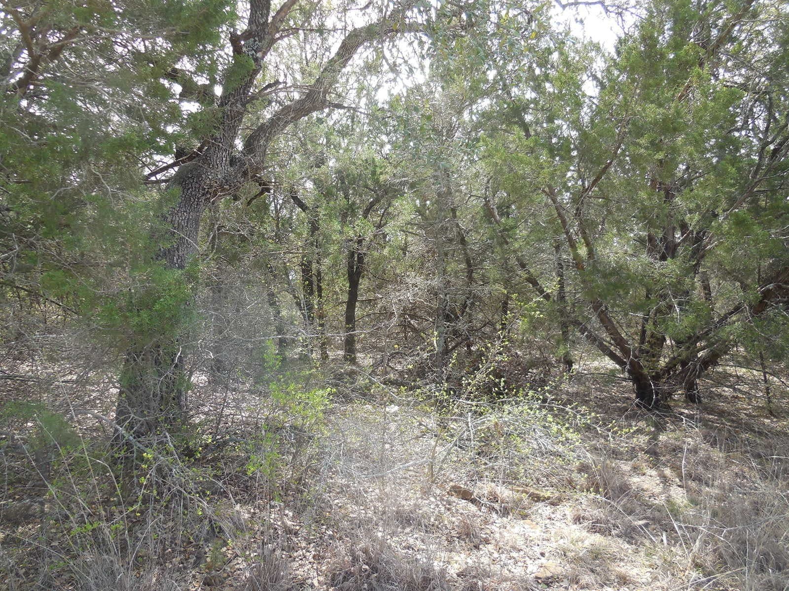 1.04 acres in Eastland County - photo 8