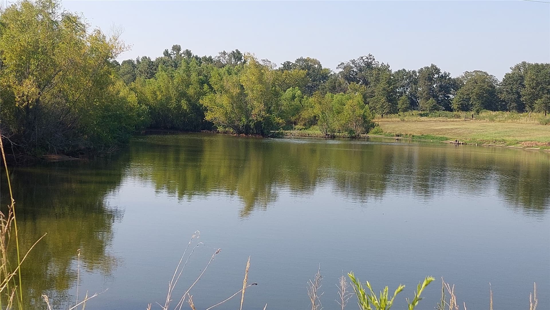 92.35 acres in Bowie County - photo 11