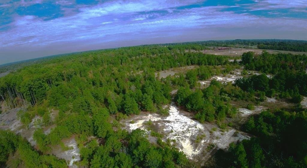 92.35 acres in Bowie County - photo 7