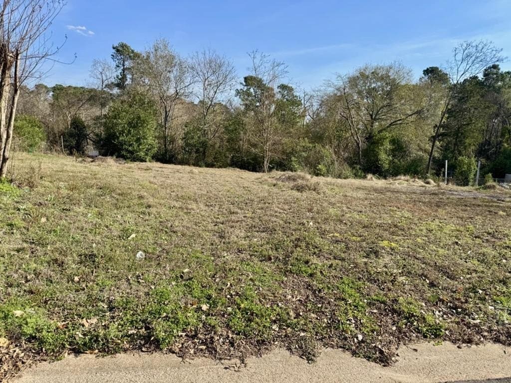 0.24 acres in Texas County gallery image 3