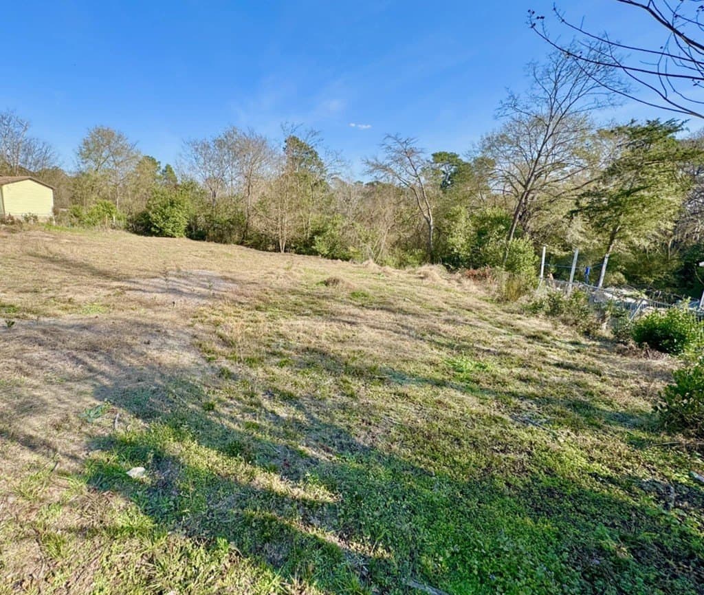 0.24 acres in Texas County gallery image 4