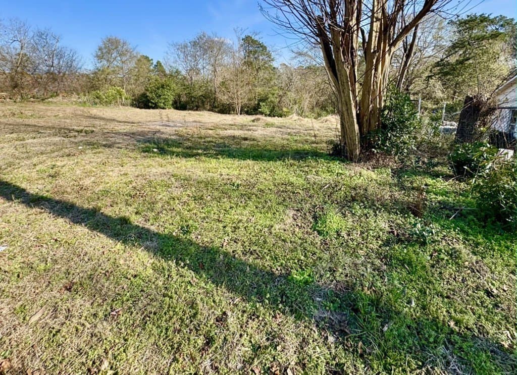 0.24 acres in Texas County - photo 6
