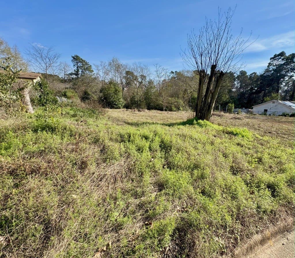0.24 acres in Texas County featured view