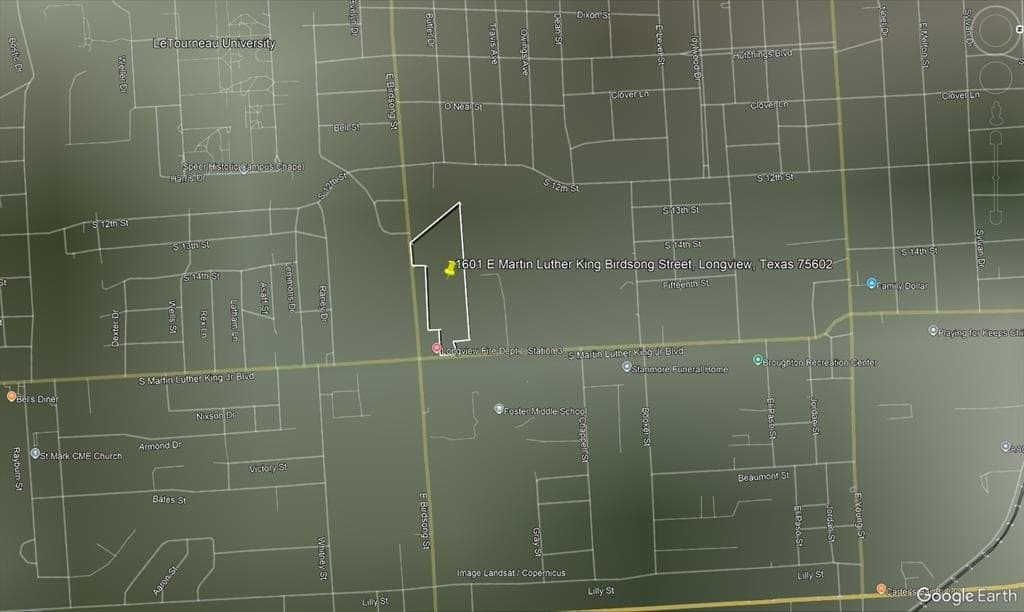 13.89 acres in Gregg County gallery image 3